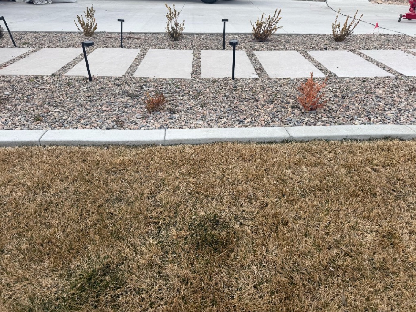 Concrete stepping stone pathway set in decorative gravel with landscape curbing in Utah